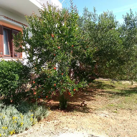 Boris Apartament